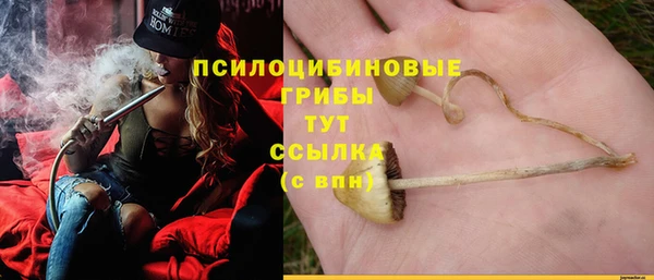 mix Аркадак