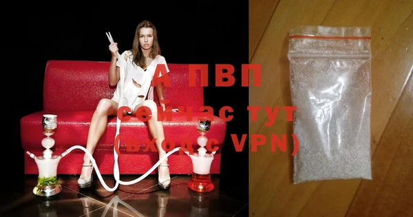 спайс Арсеньев