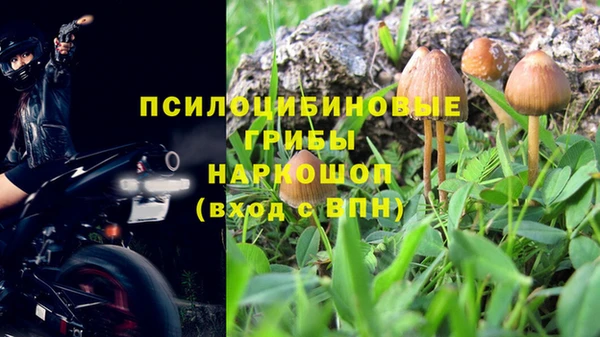 Альфа ПВП Армянск