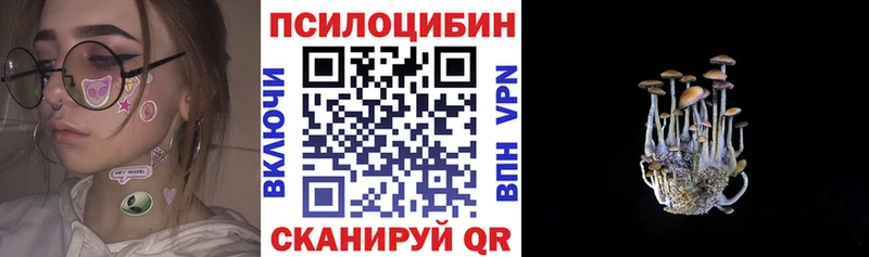 Галлюциногенные грибы Psilocybe  Купить закладки  Саров 